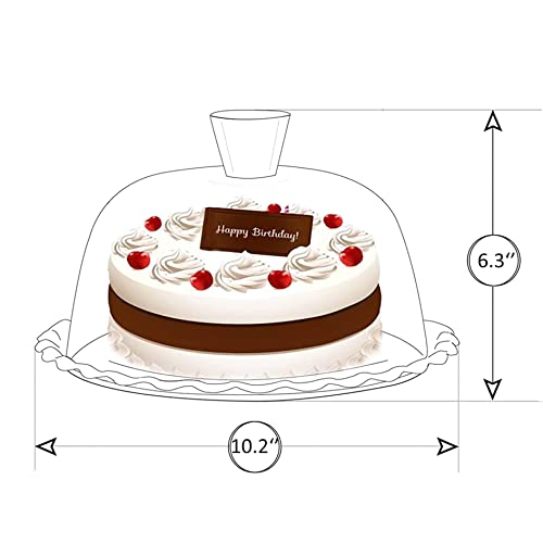 Glass Cake Stand with Dome 10 inch Serving Platter I948989
