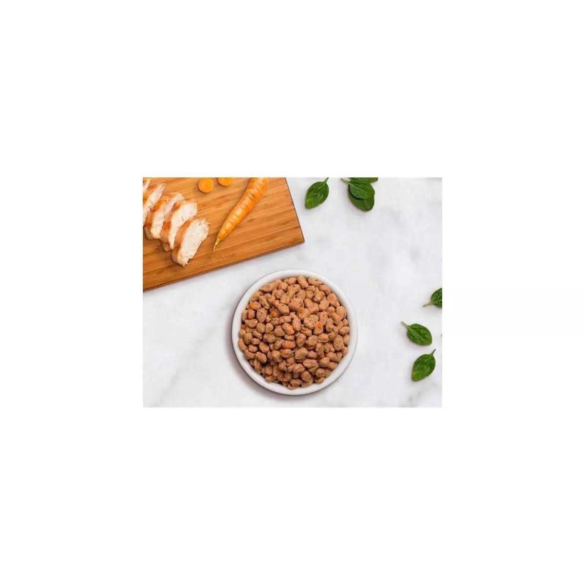 Chicken Tender Recipe Moisture Rich Tender Bites Dry Cat Food Y6005