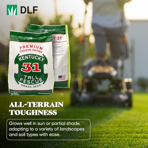 Kentucky 31 Tall Fescue Grass Seed 5 lb Bag P489