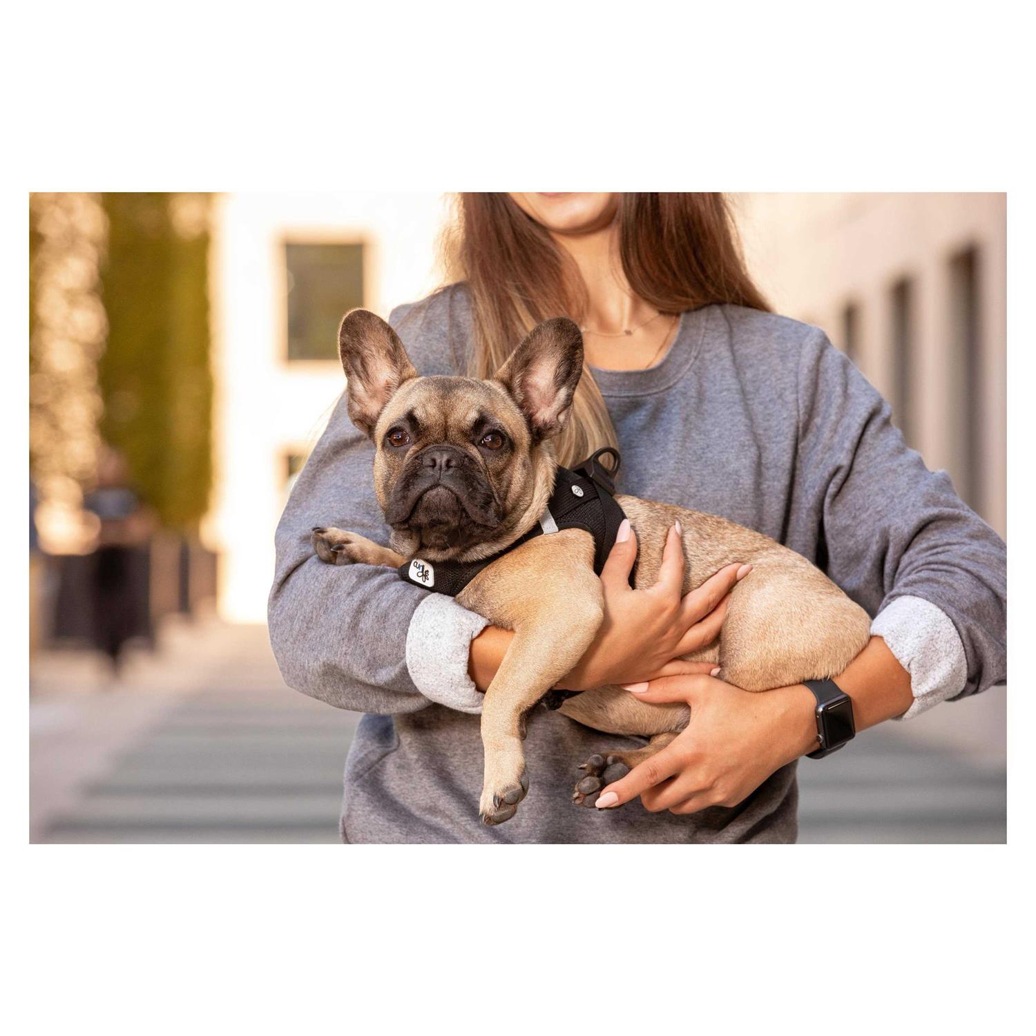 Air-Mesh Vest Dog Harness H450