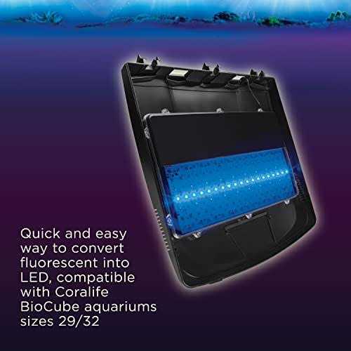 LED Replacement Canopy Size 29 and 32 C252