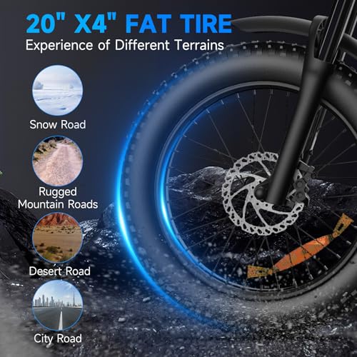 1000W-1600W Peak Power 20" Fat Tire 48V 18.9AH Battery 7 Speed Electric Bike B184