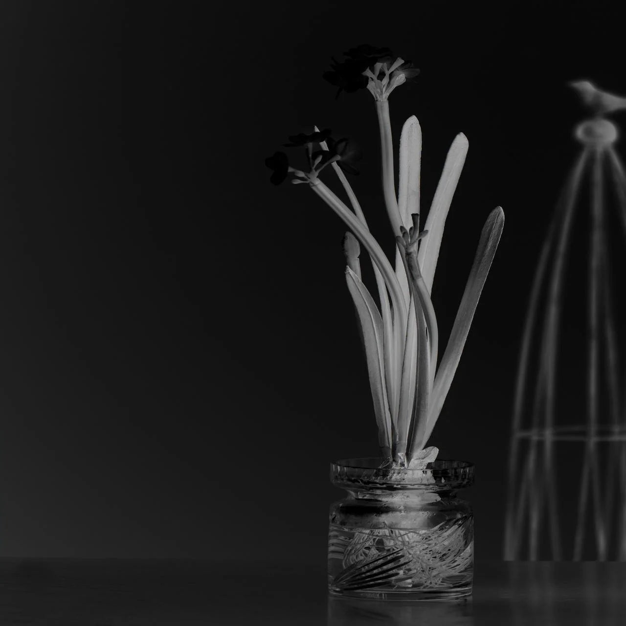 Artificial Paperwhite Stem 20"H White X260