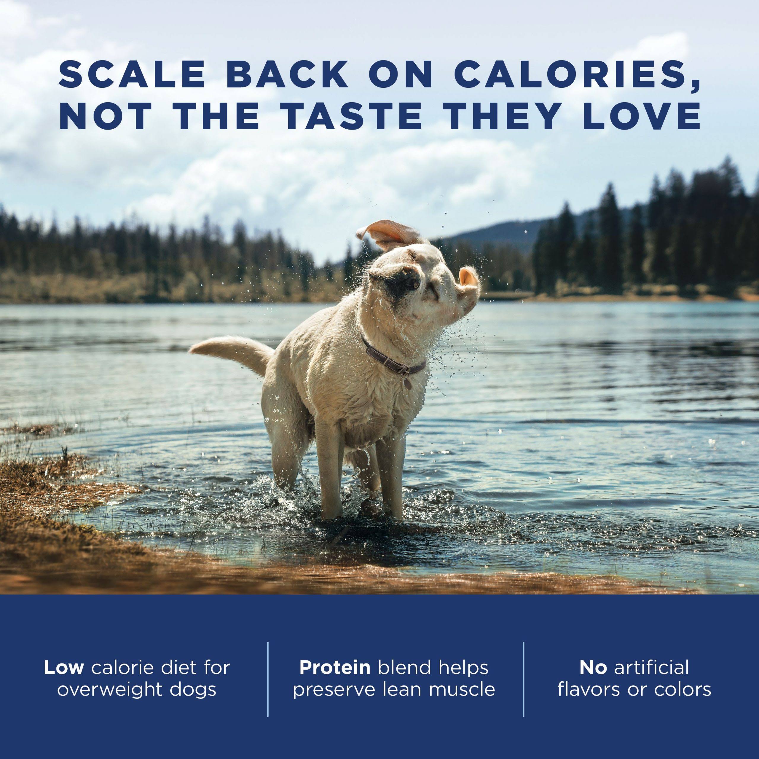 28 lb Chicken Meal Salmon Meal Barley Formula Dog Food R455