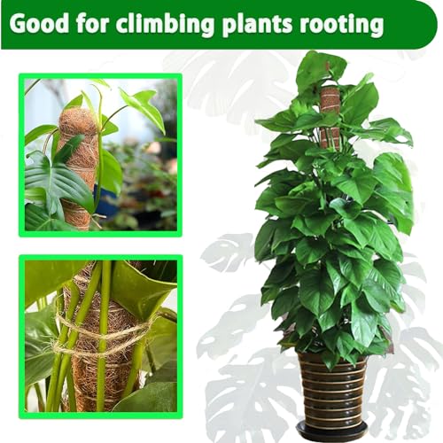 2 Pack 17 Inch Coir Plant Support Stakes K102286