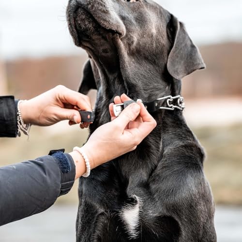 Prong Collar with Chrome Plated Stainless Steel 2.25mm Prongs for Small/Medium Dogs Q62247