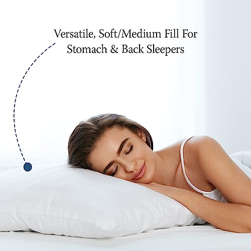 4-Pack Standard/Queen Jumbo Size Down Alternative Bed Pillows L706647