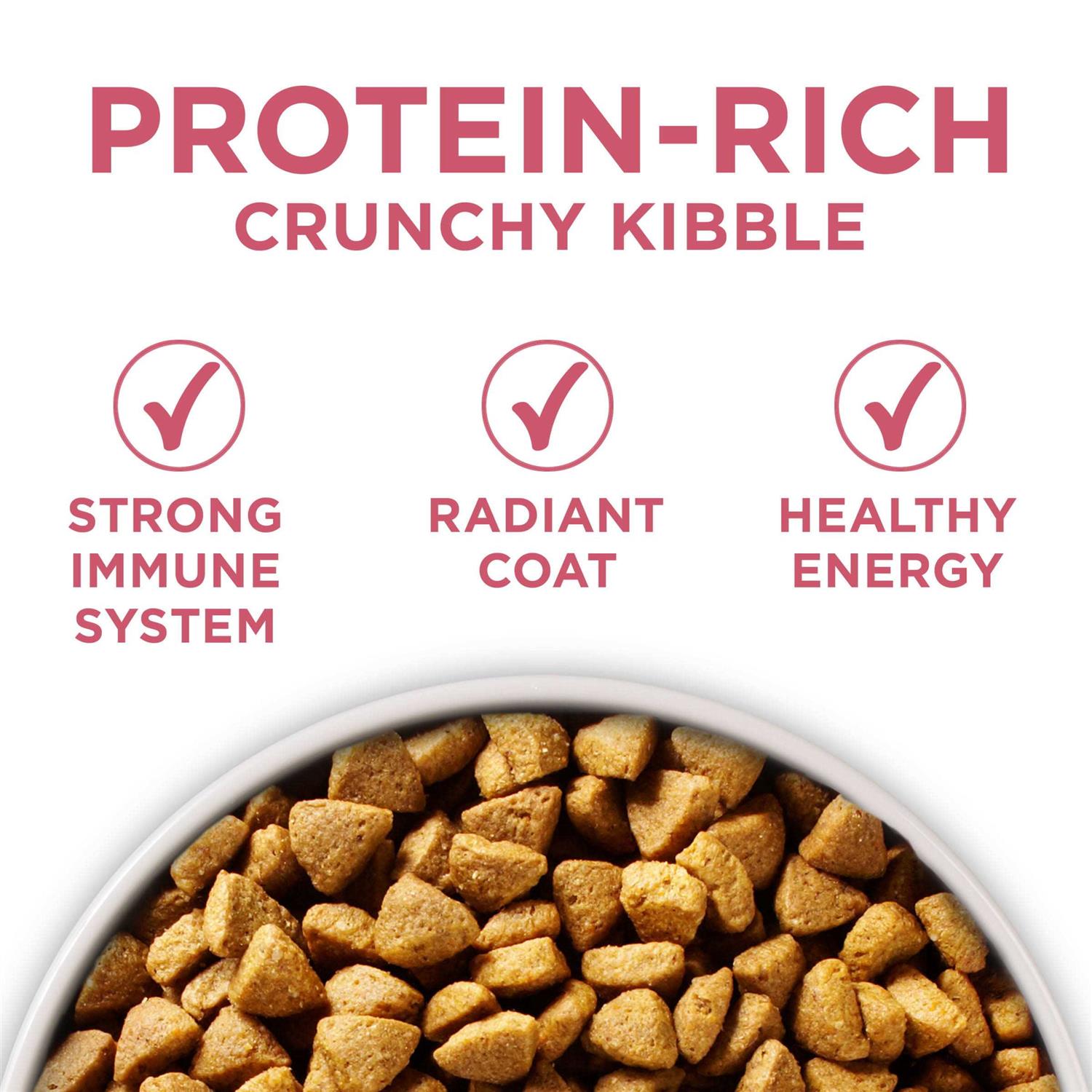 Dry Dog Food Q816