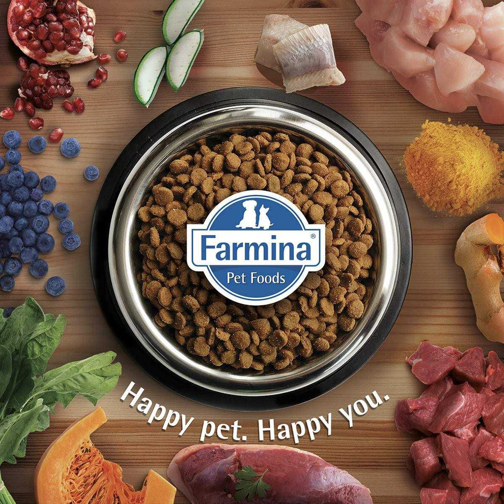 Chicken & Pomegranate Dry Dog Food Z3916