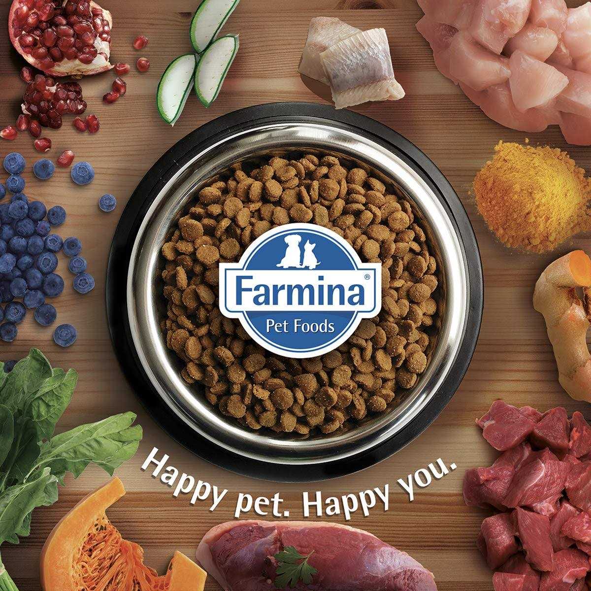 Chicken & Pomegranate Dry Dog Food Z3916