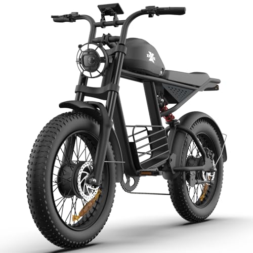 1000W-1600W Peak Power 20" Fat Tire 48V 18.9AH Battery 7 Speed Electric Bike B184