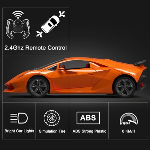 1/24 Scale RC Sport Racing Toy Car E877