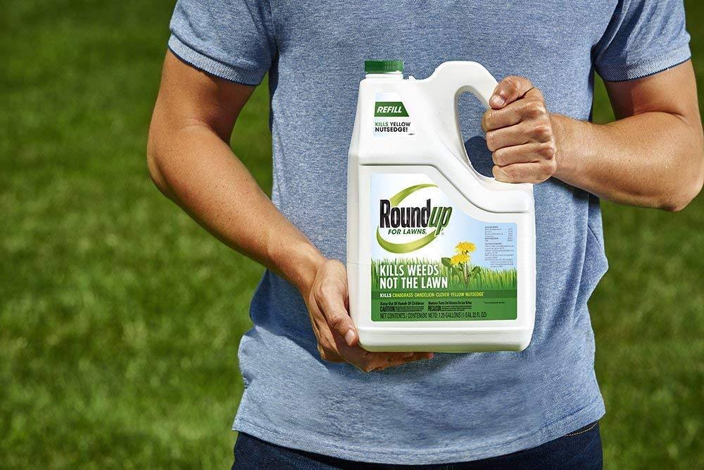 1.25 Gallon Roundup for Lawns Q473963