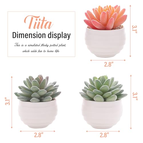 Artificial Faux Succulents in Pots Fake Plants Ceramic Arrangement Planter D665702