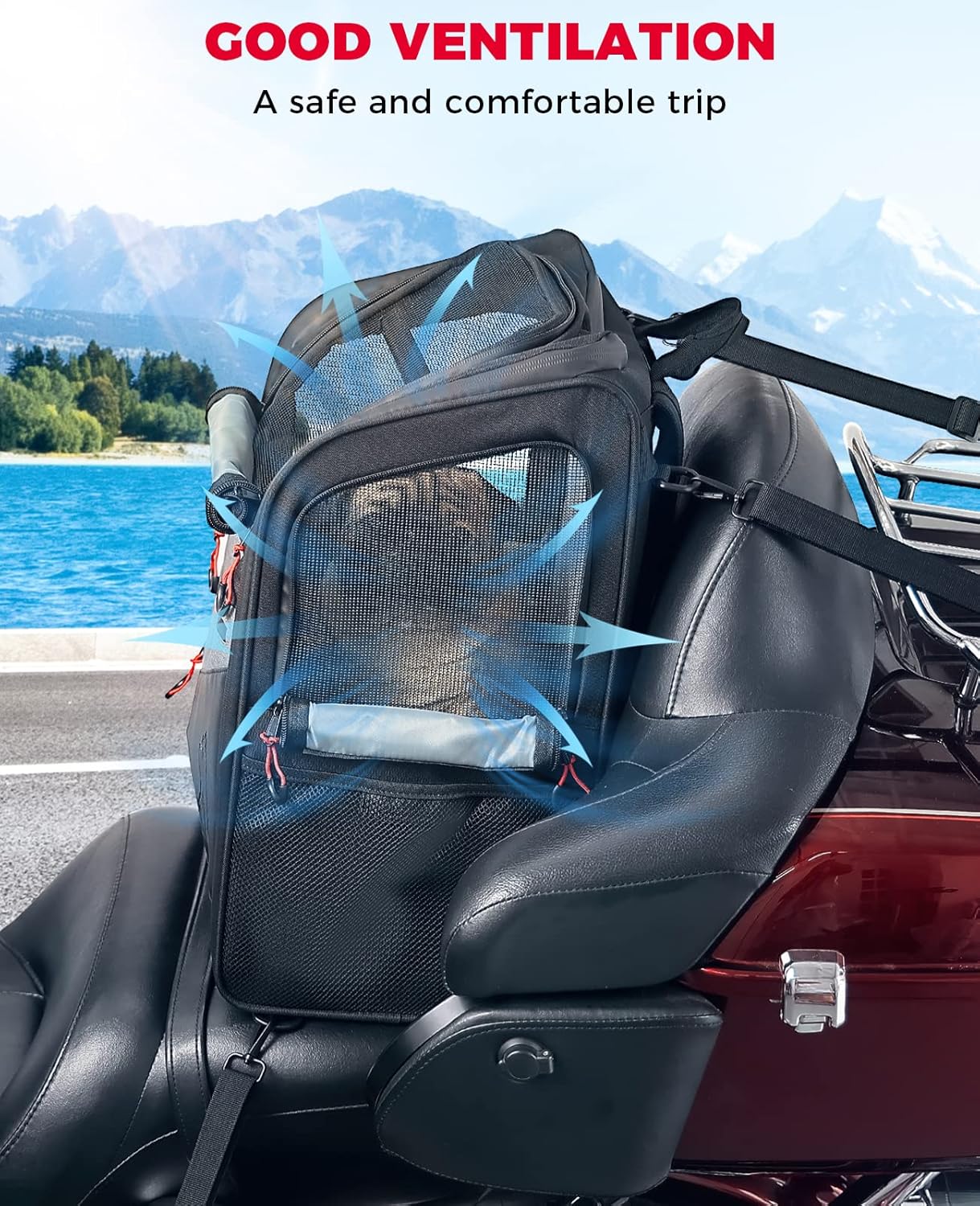 Motorcycle Pet Carrier Bag A4601