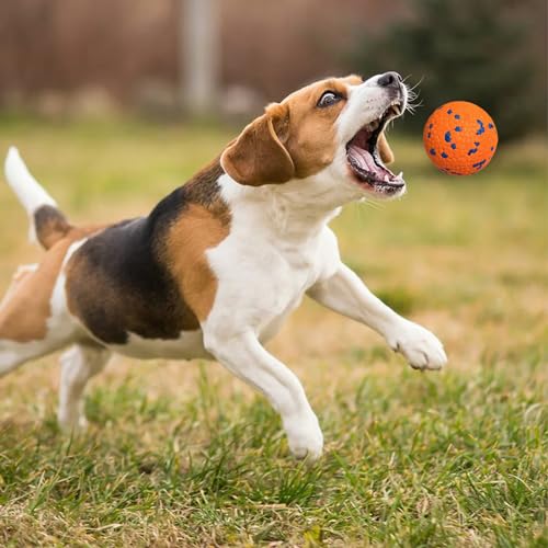 Interactive Tennis Fetch Ball Toy for Dogs W931