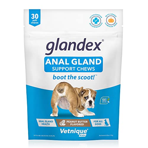 Peanut Butter Soft Chew Treats with Pumpkin for Dogs, 30ct N803754