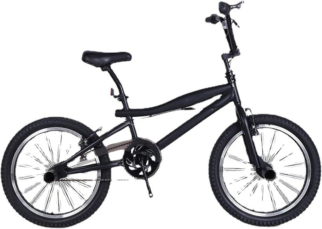 Fat Tire Electric Mountain Bike V2238