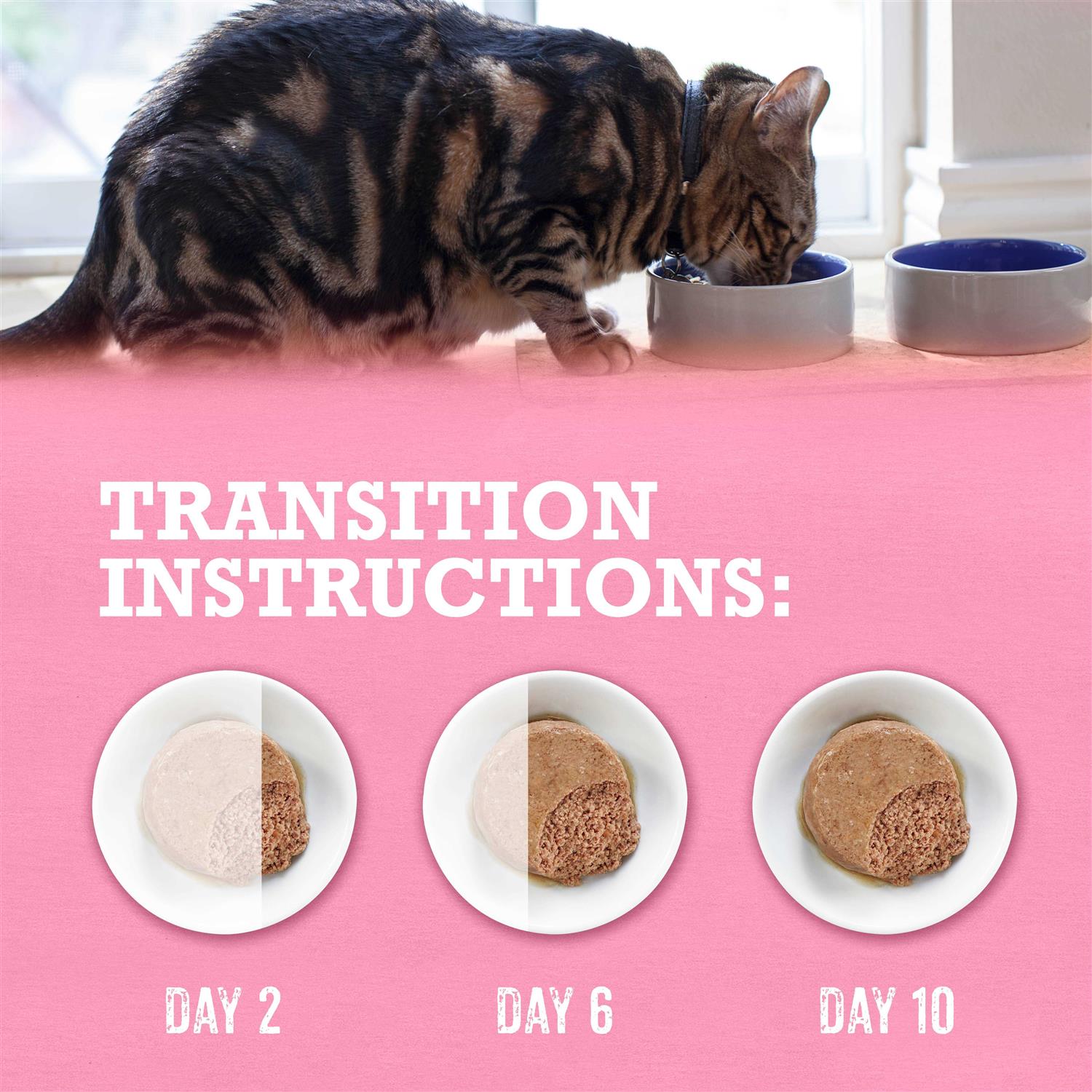 Grain Free Wet Cat Food Pate C33459