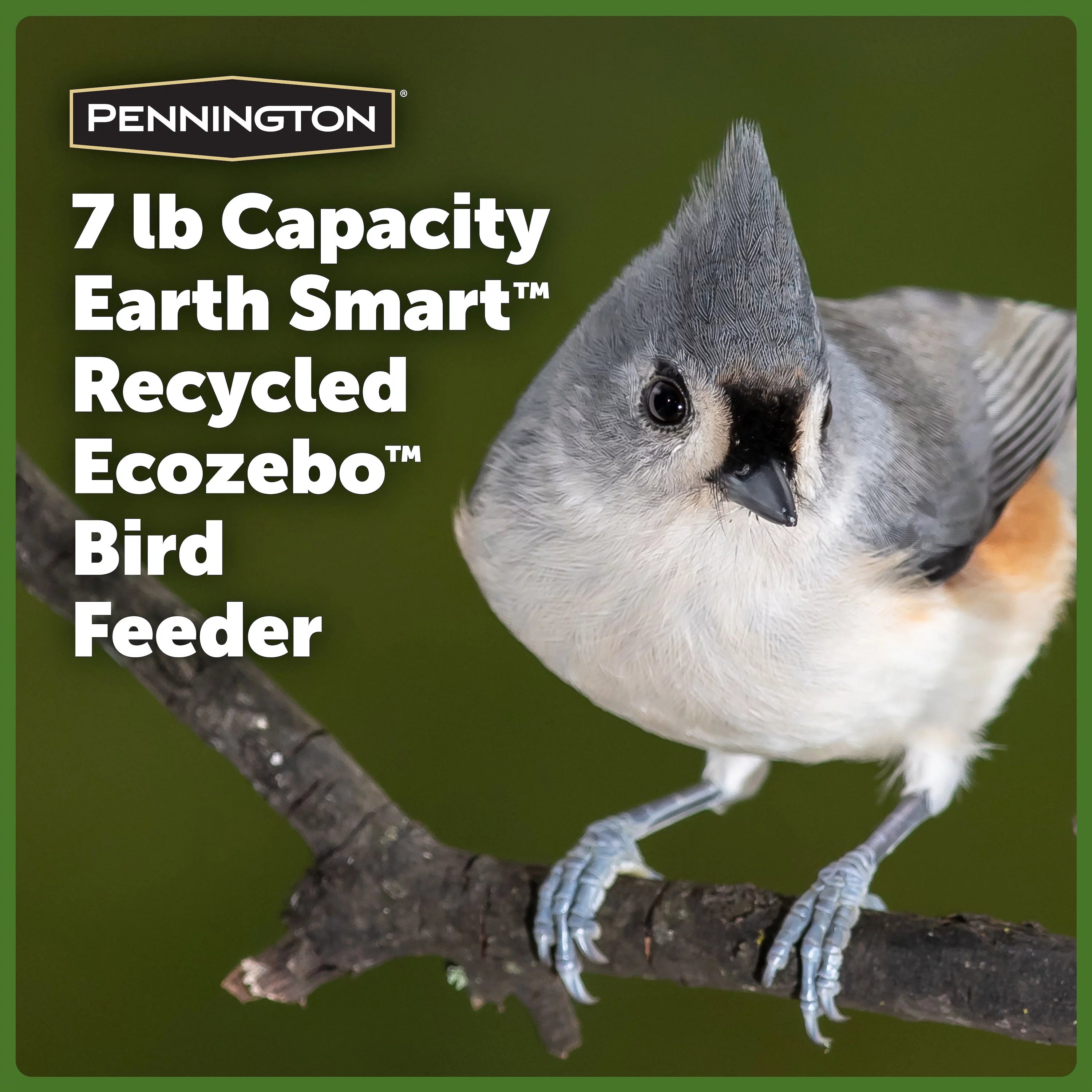 Red Recycled Plastic Wild Bird Hopper Feeder, 7 lb. Capacity, 2 Pack I2866