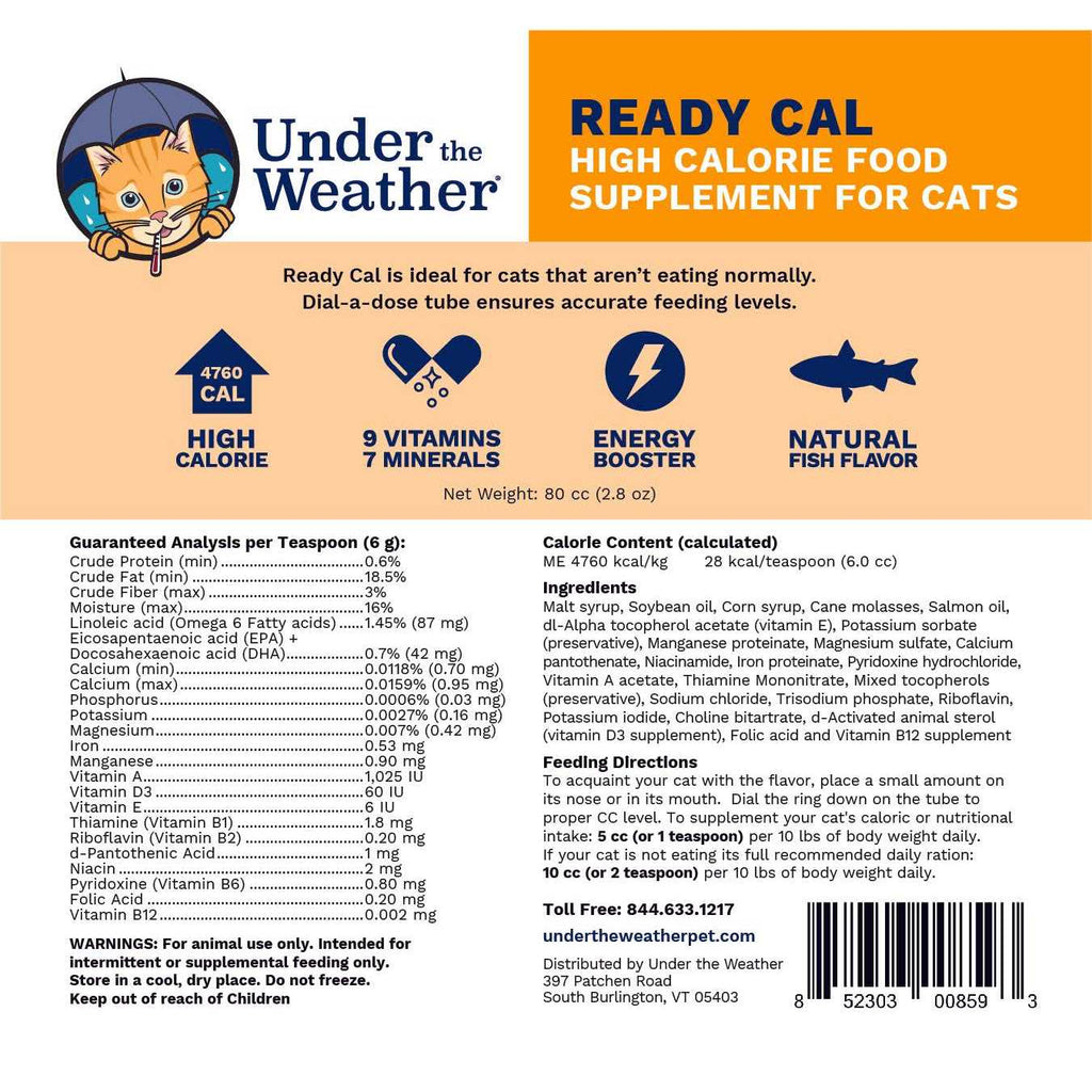 High Calorie Food Supplement for Cats K68170