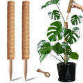 2 Pack 17 Inch Coir Plant Support Stakes K102286