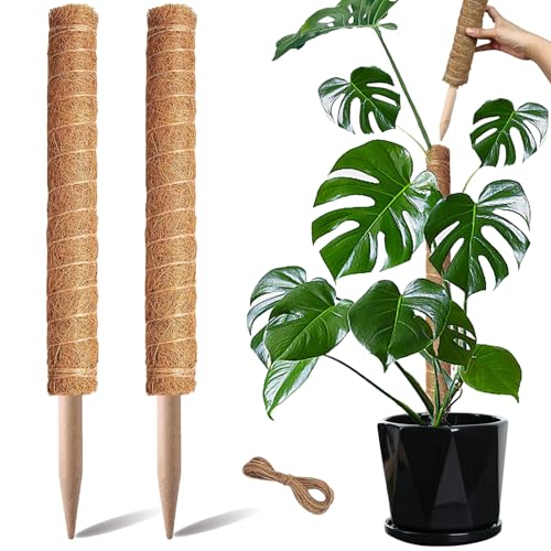 2 Pack 17 Inch Coir Plant Support Stakes K102286