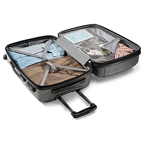 Artic Pink Hardside Luggage with Spinner Wheels, Carry-On 20-Inch V95773