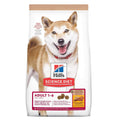 Adult Chicken Dry Dog Food B637