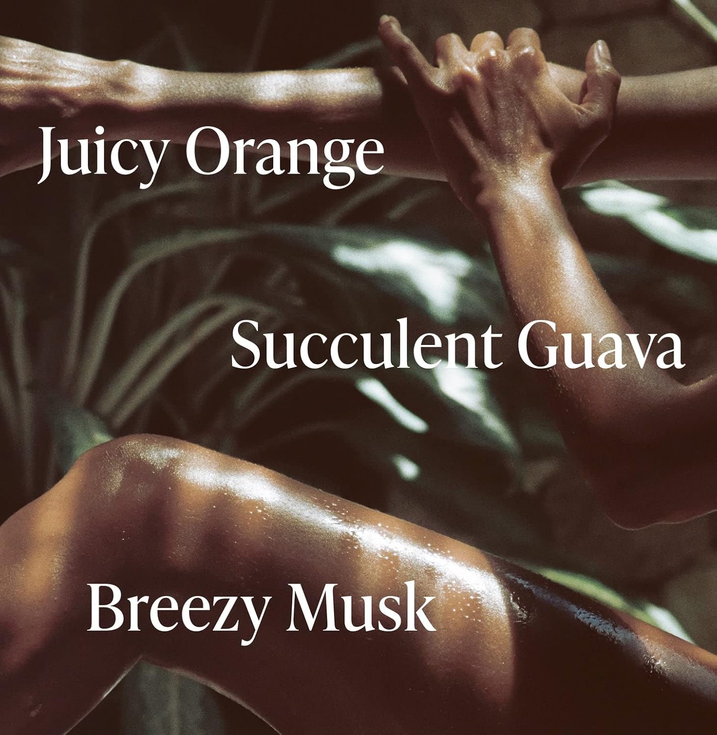 Exotic Pulp Body Oil H73845