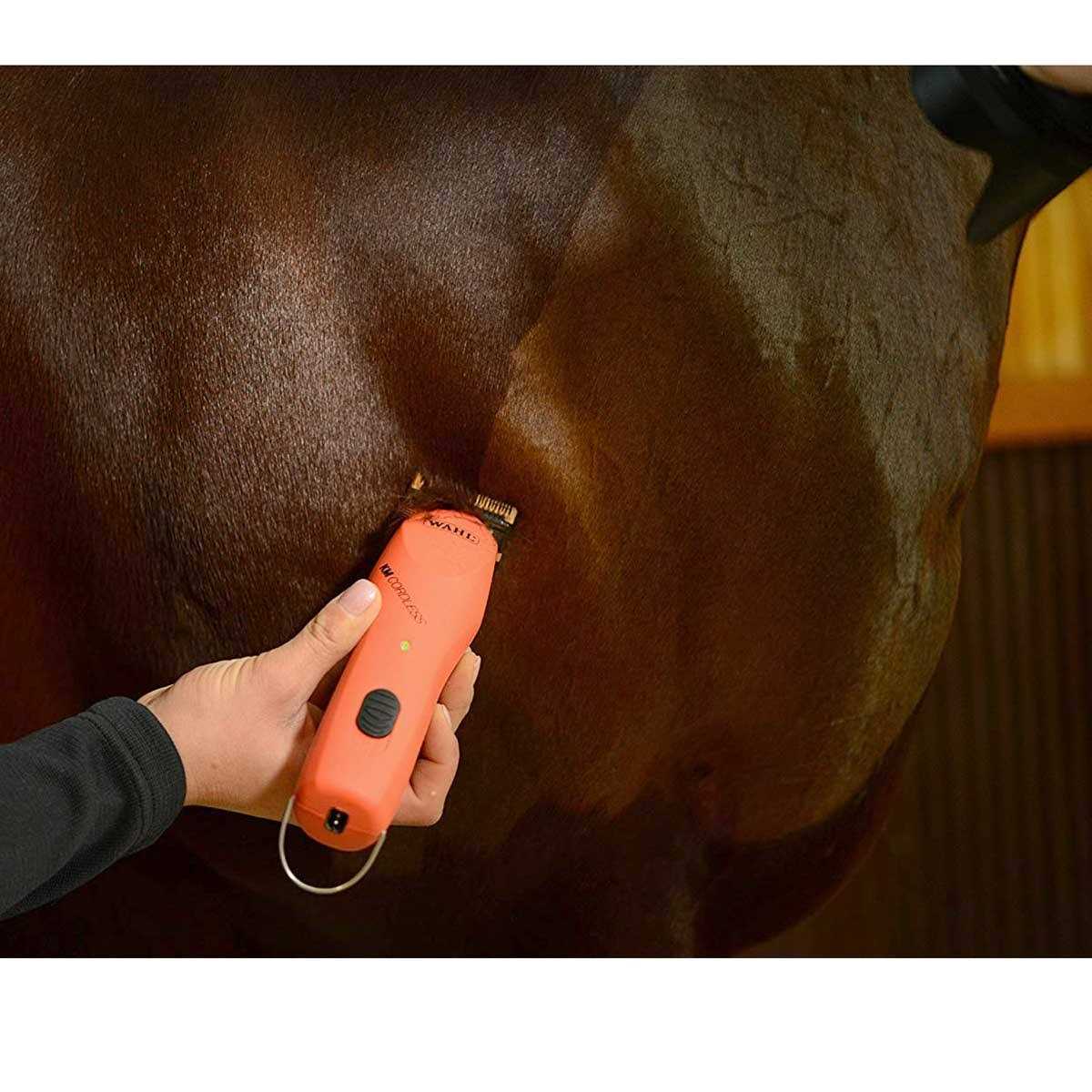 2 Speed Cordless Clipper K165238