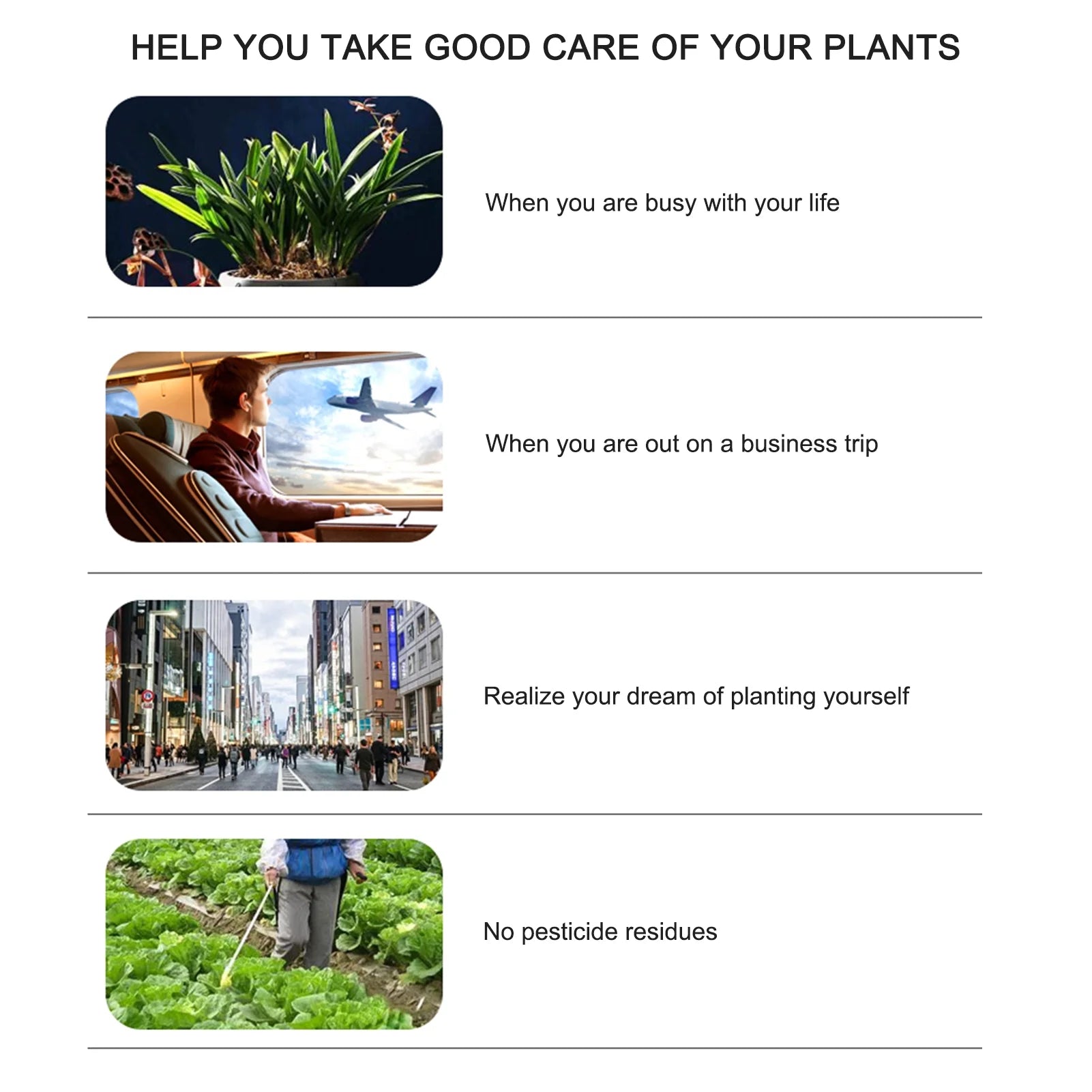 Indoor Herb Garden Kit with Grow Light K489499