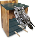 Owl House 100% Cedar Wood L327