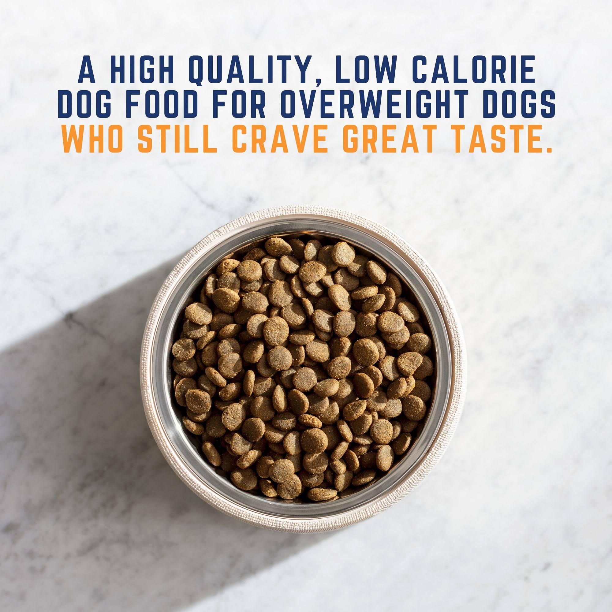 28 lb Chicken Meal Salmon Meal Barley Formula Dog Food R455