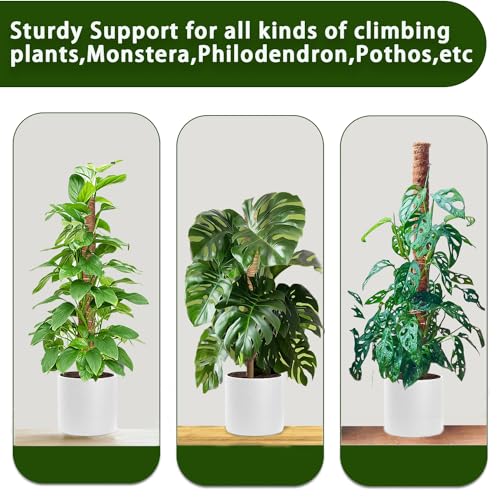 2 Pack 17 Inch Coir Plant Support Stakes K102286