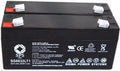 6 V 3.2 Ah Replacement Battery (2 Pack) P294100