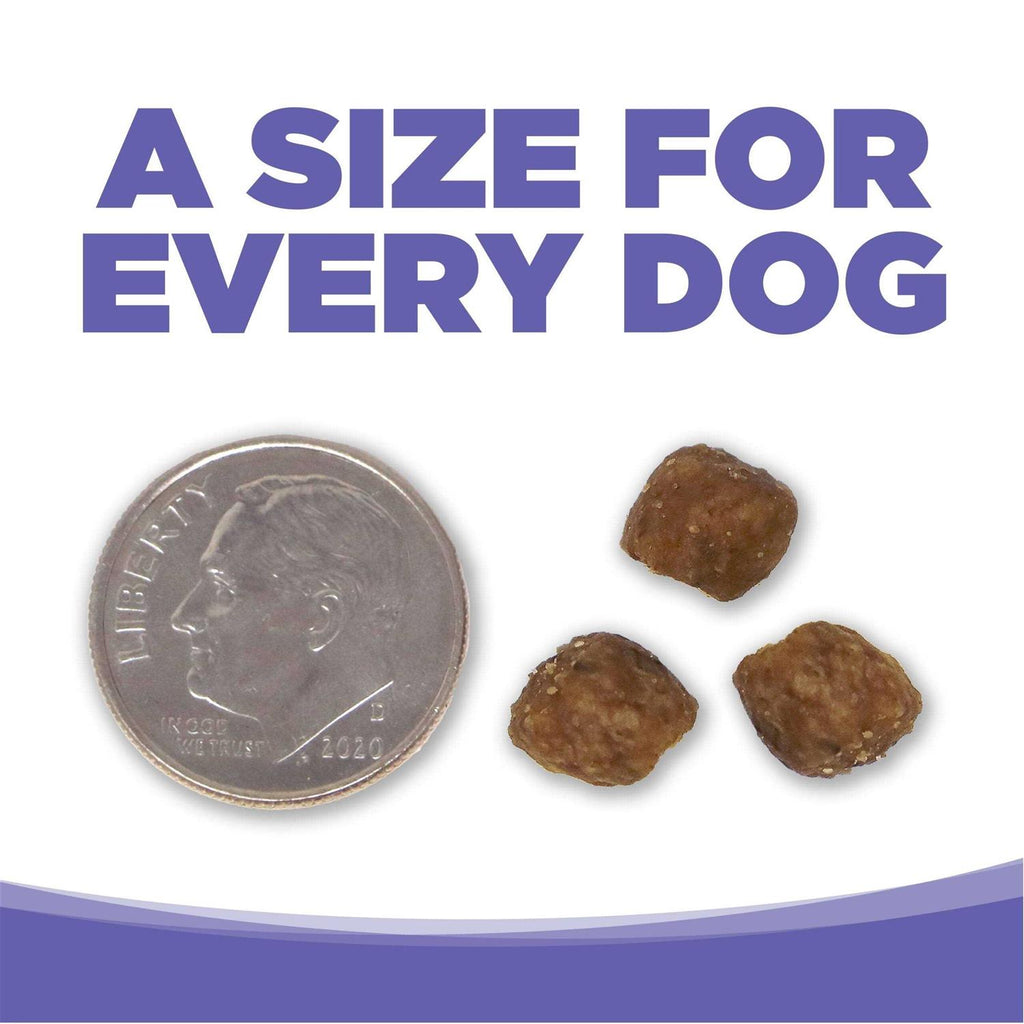 Chicken Rice Small Medium-Breed Puppy Dry Dog Food Z46742