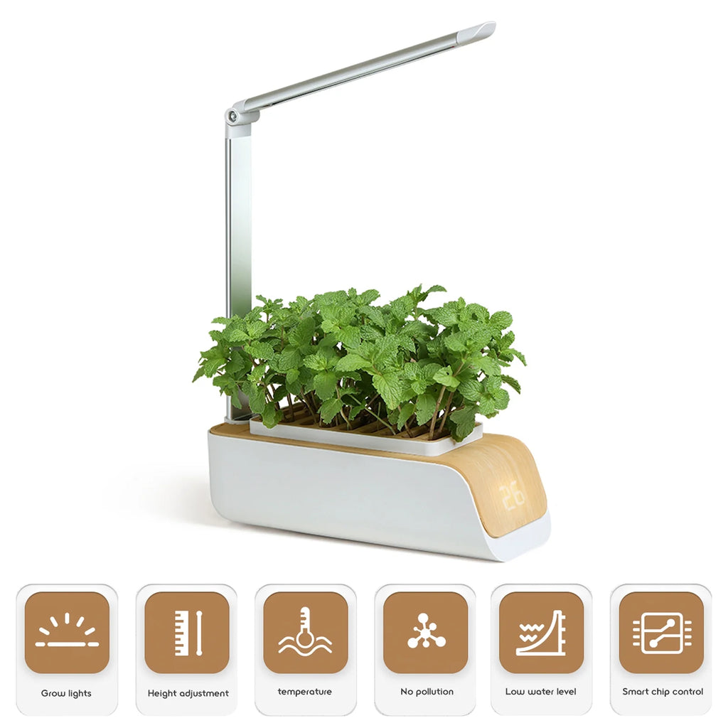 Indoor Herb Garden Kit with Grow Light K489499