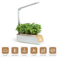 Indoor Herb Garden Kit with Grow Light K489499