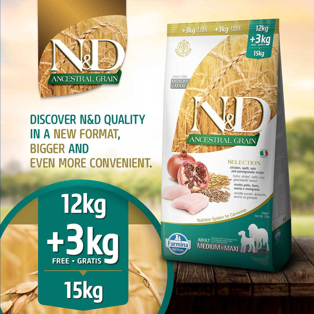Chicken & Pomegranate Medium & Maxi Adult Dry Dog Food C29801