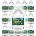 8Oz Spring Water Bottle (Pack Of 30, Total Of 240 Fl Oz) B1847