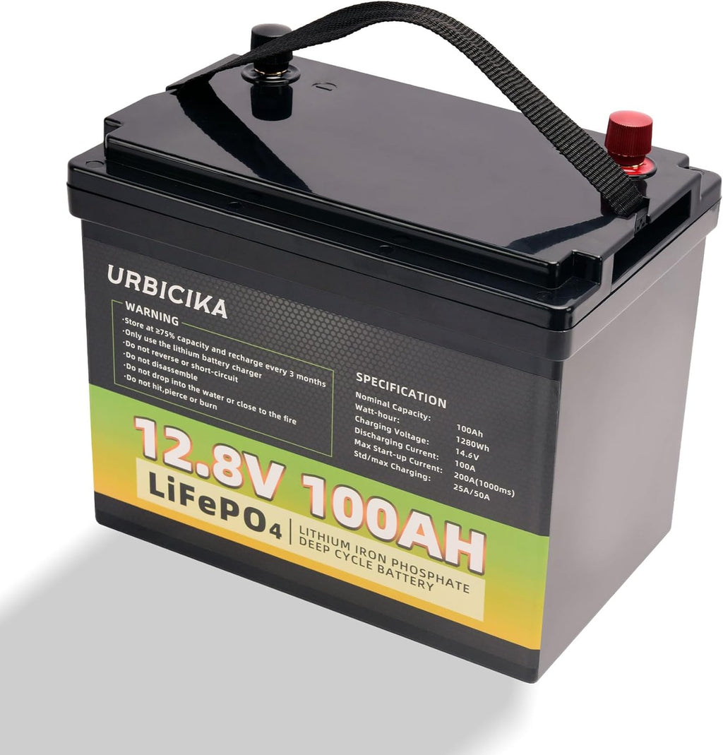 12V 100AH LiFePO4 Lithium Battery 100A BMS B95248