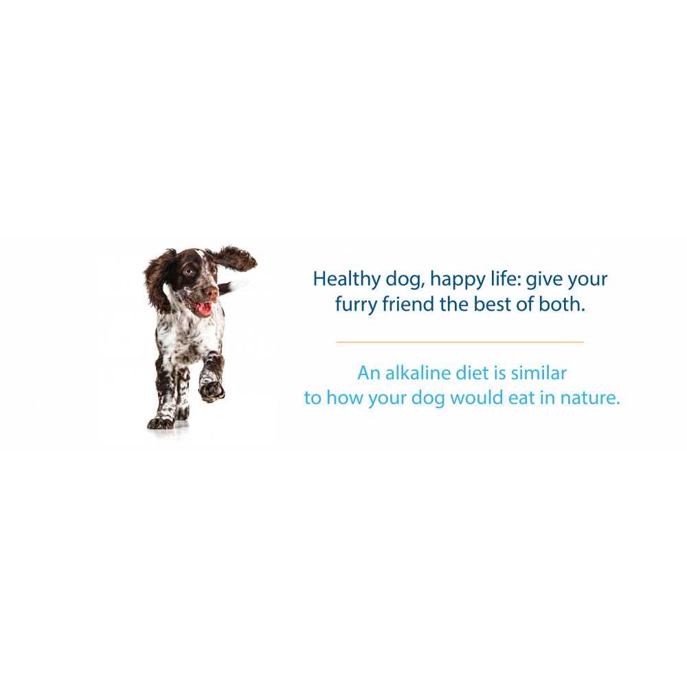 Grain-Free Dry Dog Food D159862