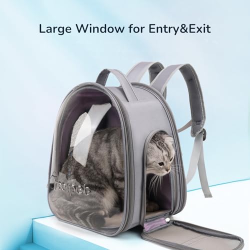 Clear Cat Carrier Backpack G1046