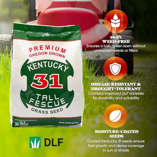 Kentucky 31 Tall Fescue Grass Seed 5 lb Bag P489
