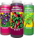 16oz Flora Series S3797