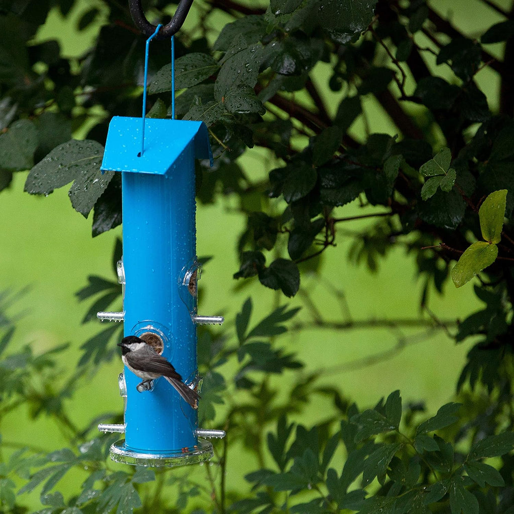 Blue Metal Tube Wild Bird Feeder I2522