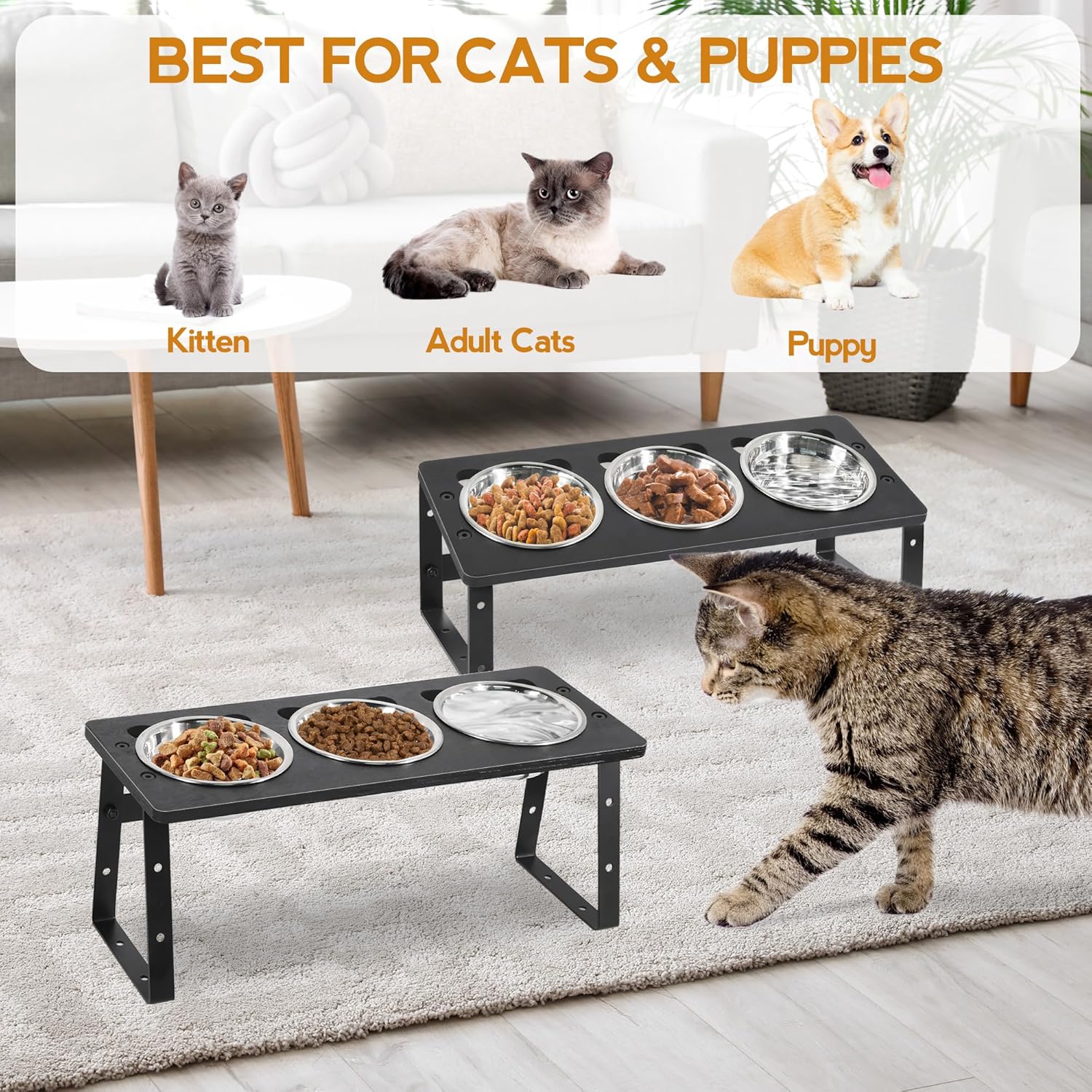 15° Tilted Raised Cat Bowls with Stainless Steel Feeder Bowls I39291