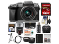 Silver Digital Camera with 14-42mm Lens Kit P716652
