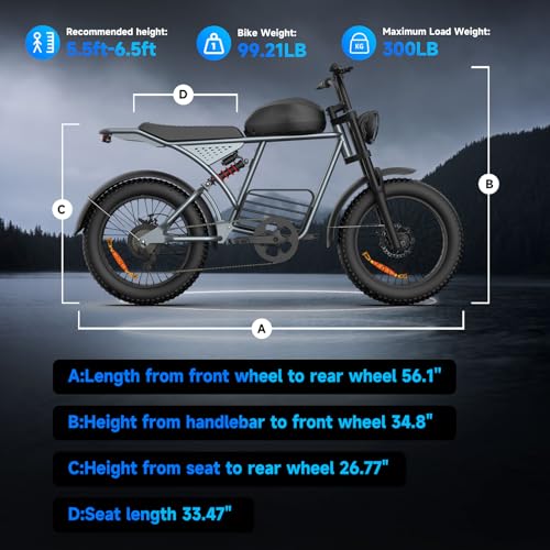 1000W-1600W Peak Power 20" Fat Tire 48V 18.9AH Battery 7 Speed Electric Bike B184